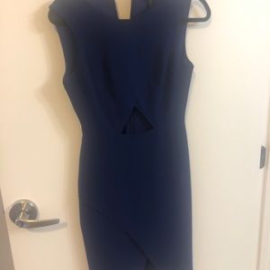 BCBG maxazria Bodycon dress